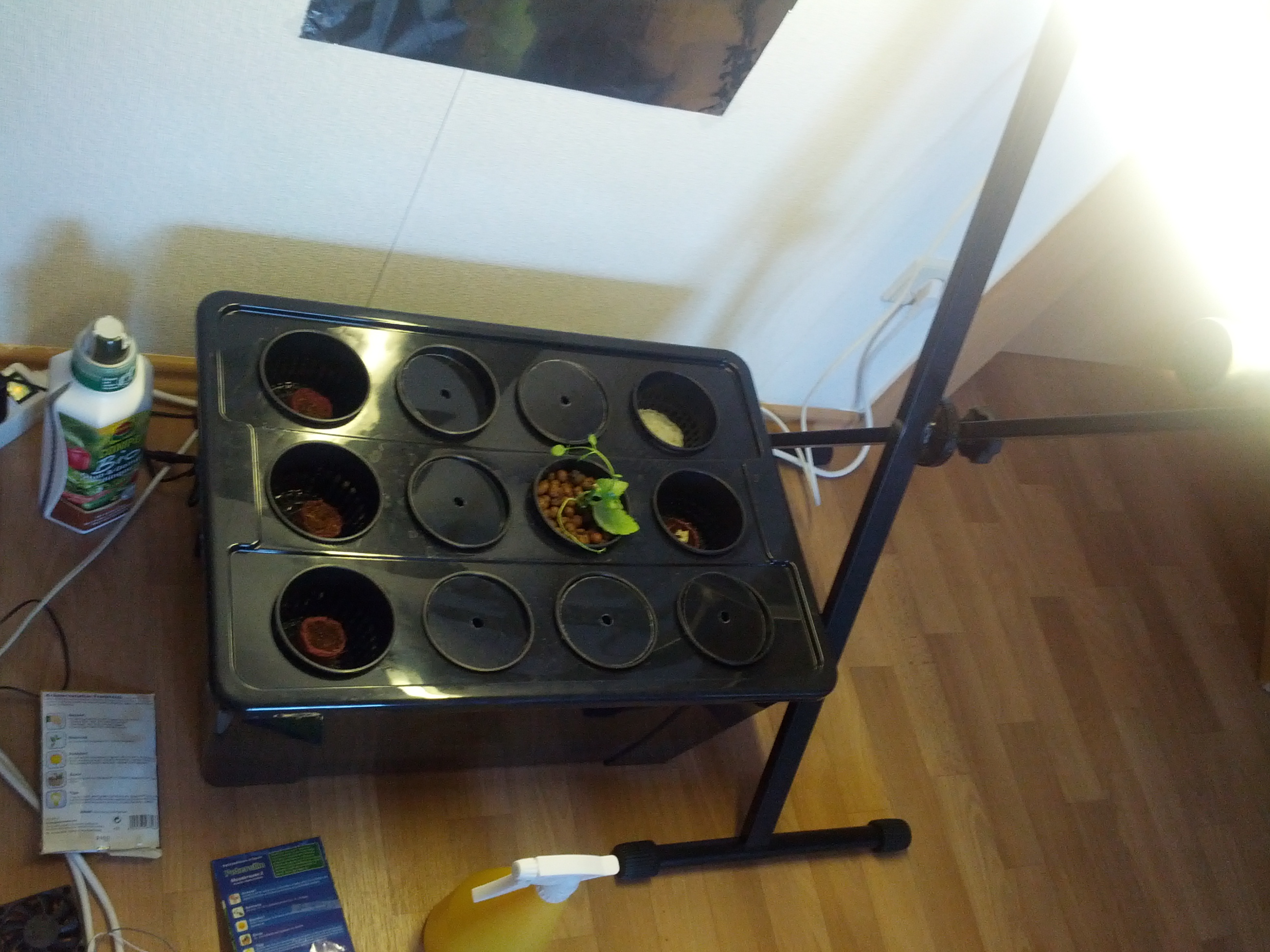 aeroponics