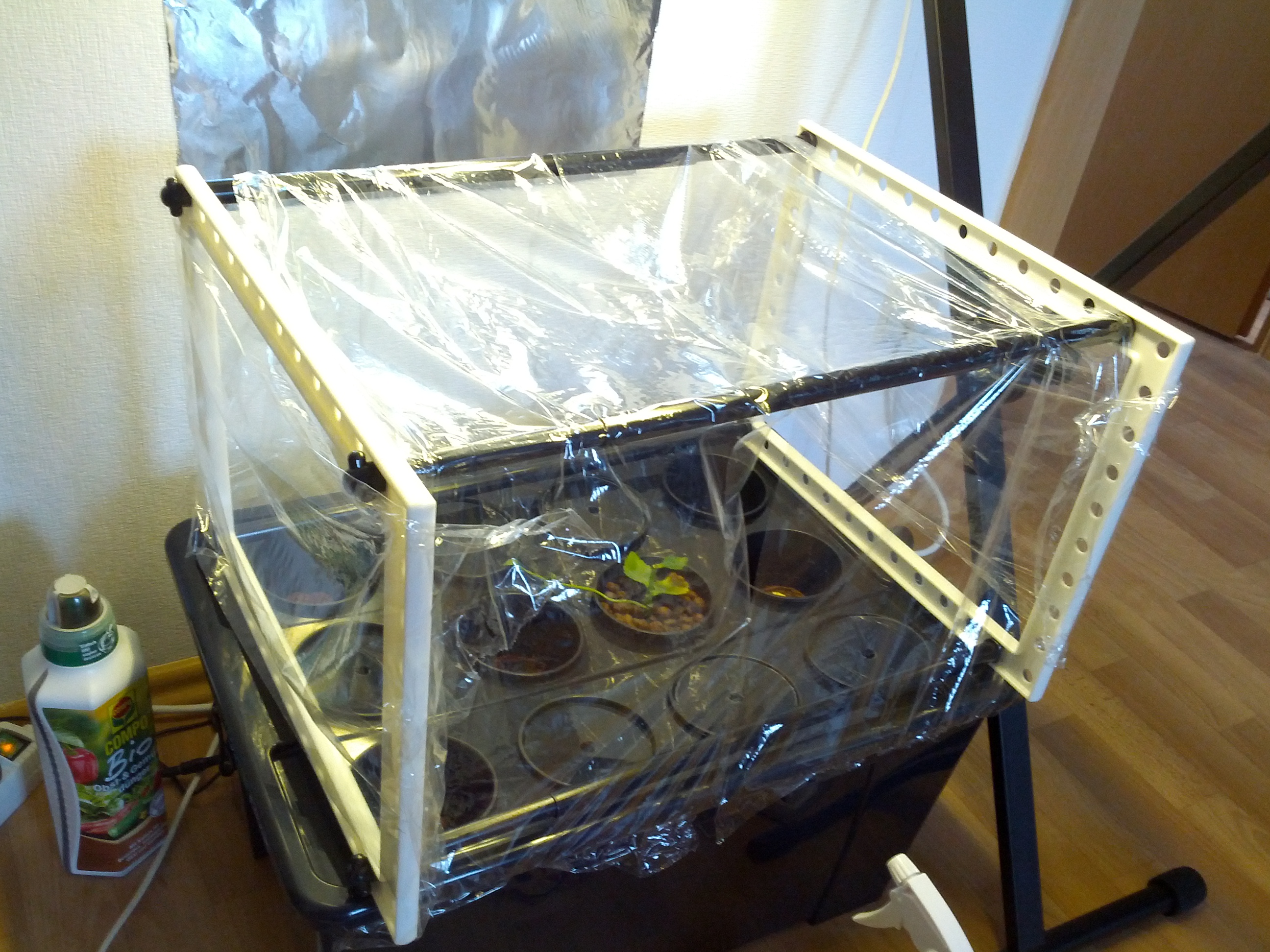 greenhouse