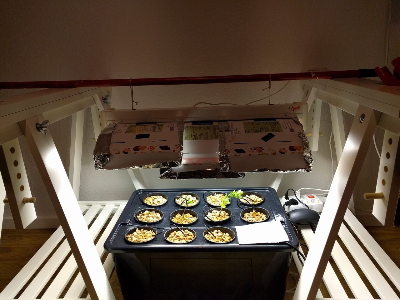 setup-front