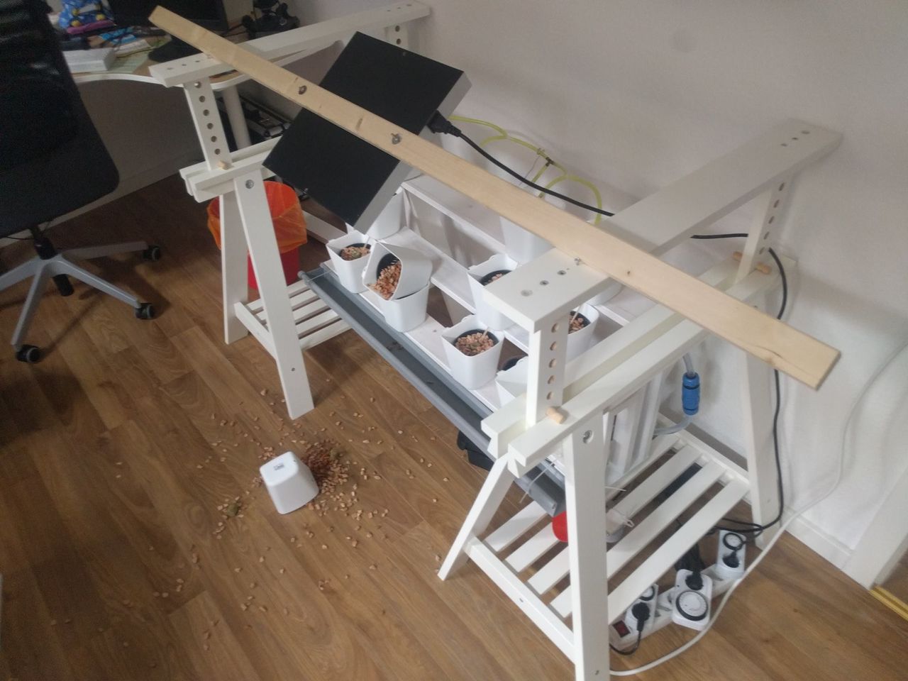 disaster